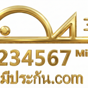 หมายเลข MID VVIP/VIP : 1234567